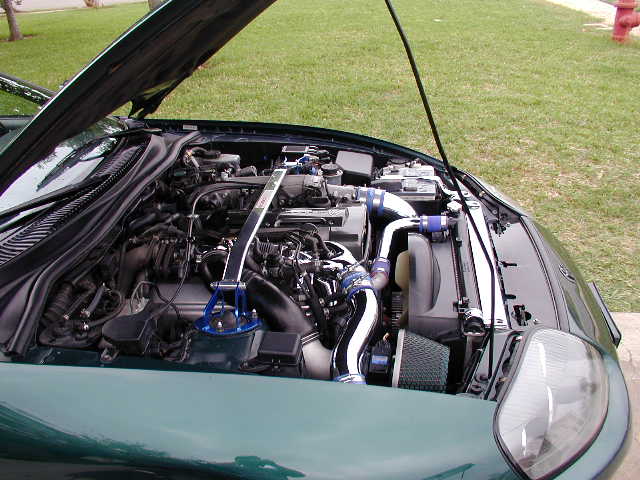 supra_eb1.jpg